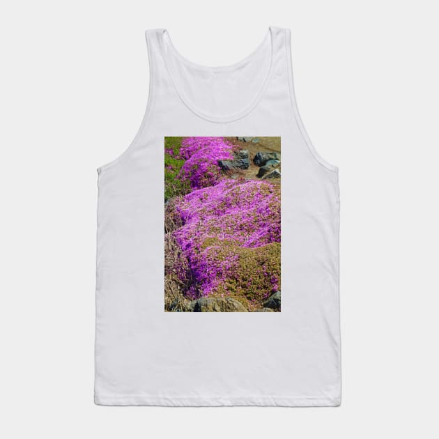 SF Bay in Pink Tank Top by bobmeyers